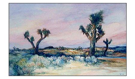 joshua tree desert california